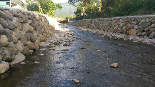 檔案:淡水口湖子橋原生植物區-溪流.jpeg
