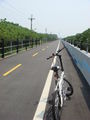 八里左岸自行車道2.JPG
