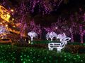 三角公園聖誕節燈景.jpg